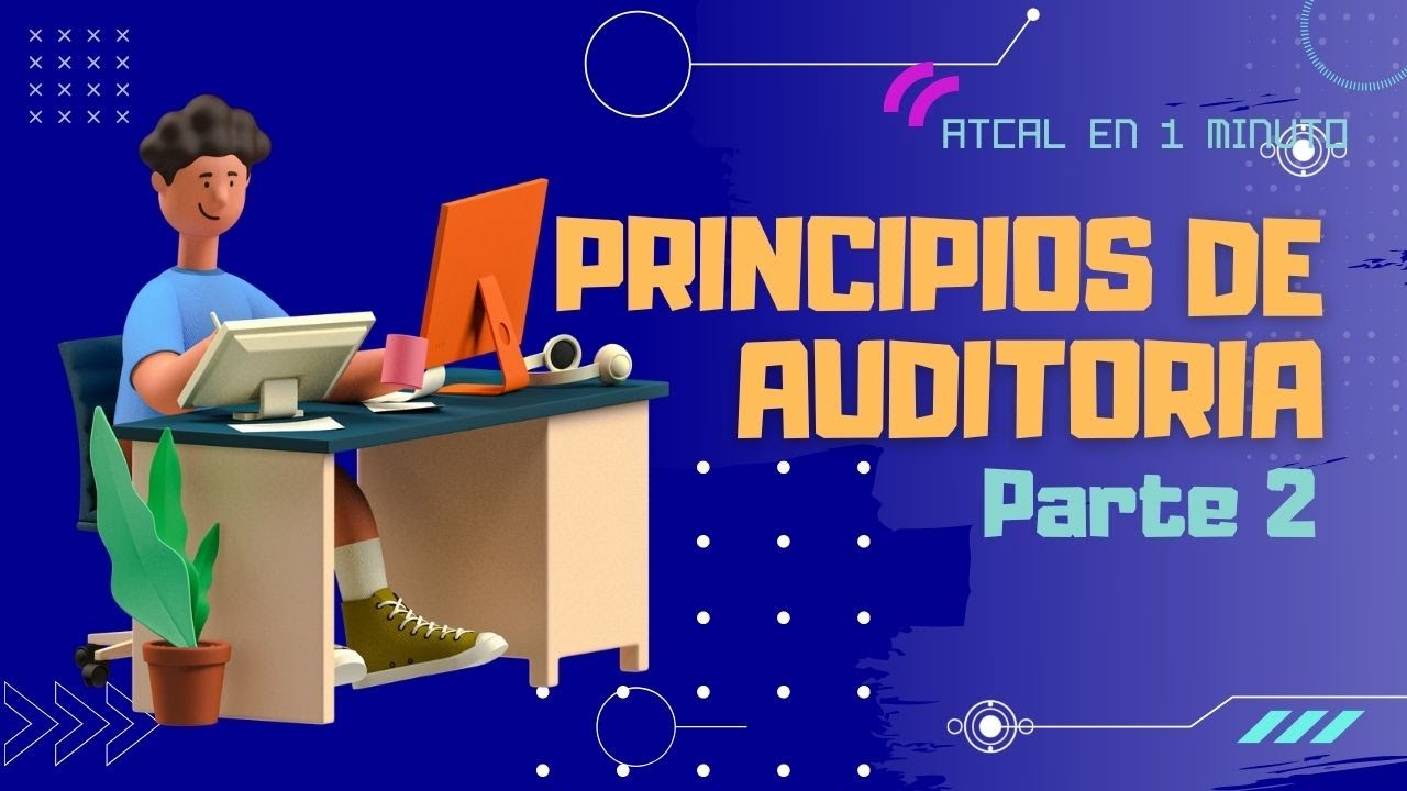 Auditoria principios